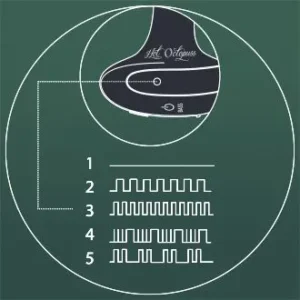 The Hot Octopuss PleX with Flex has 5 eye-crossing vibration patterns | MyBestOrgasm.sex