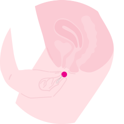 Intimina | Laselle Routine Weighted Kegel Exercise Balls Set - How to Use-2